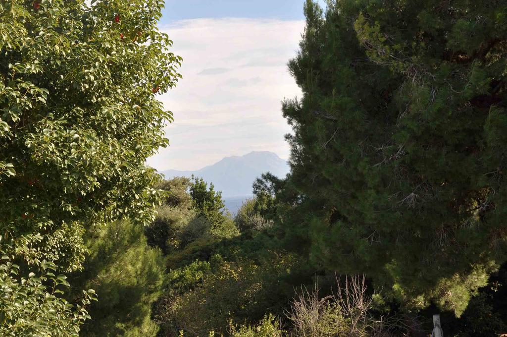 Residenza Le Rose Villa D'Arte Νάπολη Εξωτερικό φωτογραφία